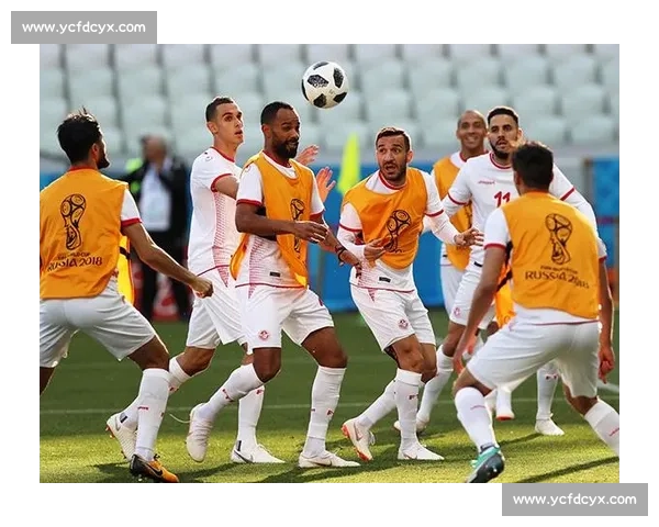 比利时对阵韩国焦点之战实力碰撞与战术博弈前瞻全面解析关键看点走势