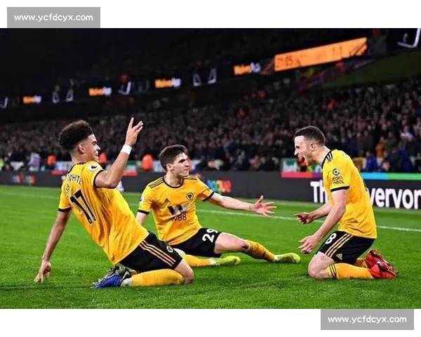 纽卡斯尔主场迎战狼队英超焦点对决攻防走向引热议赛季形势悬念升级